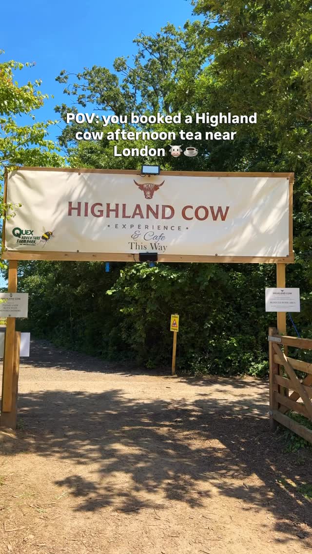 Nobody told me you could have afternoon tea with Highland cows in England… 🐮☕

If you’ve ever wanted to meet these fluffy Scottish icons up close, this unique experience at Quex Adventure Farm Park in Kent deserves a spot on your summer bucket list.

🐮 What’s included:
• Meet, feed and brush the Highland cows
• Learn all about them from the friendly farm team
• Plenty of time for photos and cuddles
• A delicious afternoon tea with sandwiches, cakes, scones, and tea or coffee ☕🍰

🌿 What else can you do there?
• Explore the Adventure Farm Park and meet even more friendly animals
• Enjoy the indoor and outdoor play areas
• Wander around the beautiful Quex Estate and woodland trails

💷 Price: £59.95 per person.

🚆 How to get there from London:
Take a direct train from London Victoria to Birchington-on-Sea (around 1 hour 50 minutes), then it’s just a 5-minute taxi ride to Quex Adventure Farm Park. 

If you’re driving, it’s around 1 hour 45 minutes from London.

📍Save this for your next unique day trip from London 🐄💕

#highlandcows #afternoontea #thingstodonearlondon #uktravel uktravels