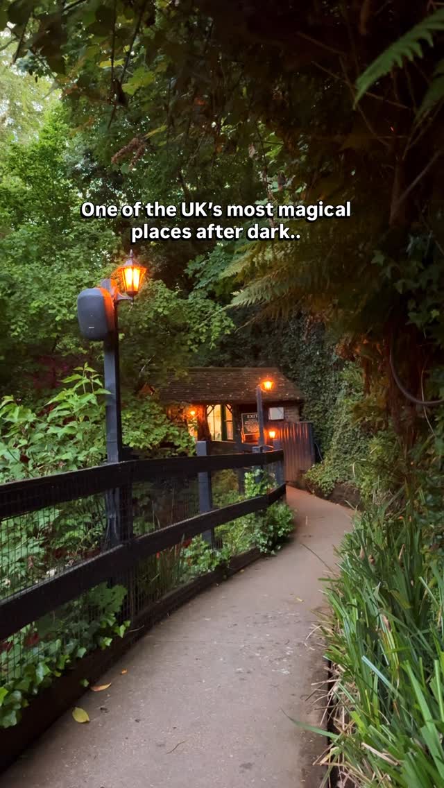Somewhere in England after dark 🌙✨

A night walk that feels completely different once the sun goes down.

Hidden on the Isle of Wight, this illuminated gorge walk takes you through glowing woodland paths, waterfalls, and peaceful nature sounds - it honestly feels like another world.

📌 Shanklin Chine

🌿 What to expect:
• Lit-up woodland trail
• Waterfalls and streams at night
• Short, scenic evening walk
• Very different from the daytime experience

💷 Price: Around £13 per person (valid for a week)

🚆 How to get there from London:
Train from London Waterloo → Portsmouth Harbour, ferry to Ryde, then train to Shanklin. About a 10–15 min walk from there.

📍Save this for a unique UK night walk 🌙

#isleofwight #shanklinchine #uktravel #weekendtripfromlondon #englandtravel