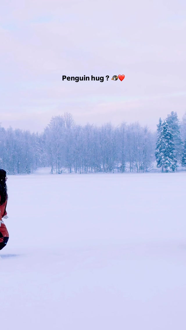 Penguin hug 🤗??

#couplereels #coupletravel #lapland