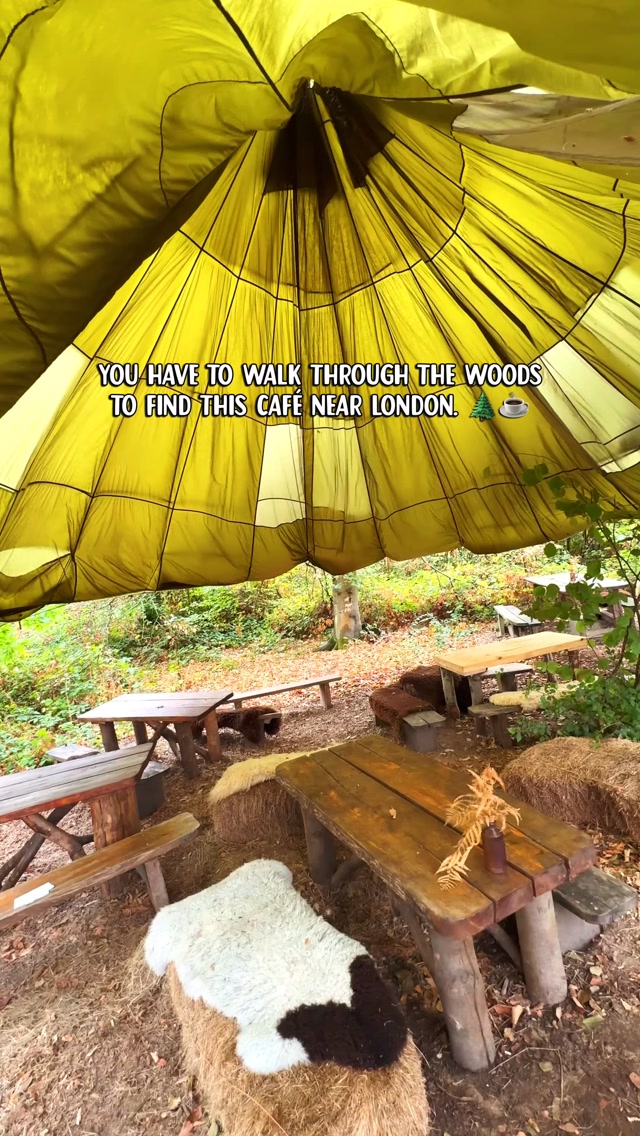 One of the most unusual cafés near London 🍂 ☕️ 

A cosy woodland setting, coffee, homemade treats, log seats, blankets and a fire - the perfect little escape after a countryside walk. 🤎

📍 Coffee in the Copse, Westcott, Surrey, RH4 3GB
@coffee_inthe_copse 

⏰ 9 am - 3 pm

🚗 Getting there: There’s no parking at the café, so you’ll need to walk in. One option is The Nower & Milton Heath Car Park, Westcott Road, Dorking RH4 3JU, which is used as a starting point for walking routes to the café (30 - 40 mins walk)

📌 Save this for your next countryside escape from London and send it to someone you’d go here with.

#cafeinthewoods #secretcafe #uktravel #hiddengemsuk #daytripfromlondon