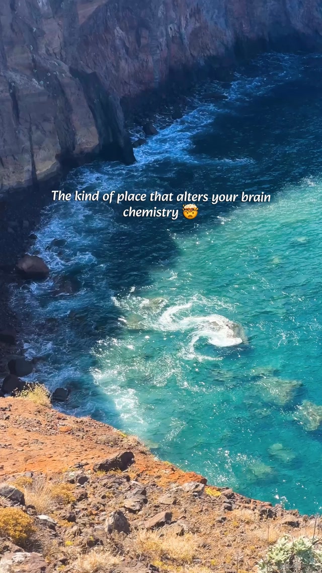 💬 Comment “LINK” and I’ll send you my Madeira itinerary straight to your DMs.

The kind of place that alters your brain chemistry 🤯🌴

Madeira is one of those places that feels unreal - dramatic mountains, endless ocean views, lush valleys and waterfalls around almost every corner.

📍 Madeira, Portugal

📌 Save this for your Madeira trip and follow for more beautiful places and travel inspiration.

#Madeira #MadeiraTravel #MadeiraIsland #PortugalTravel #EuropeTravel

Madeira itinerary, Madeira travel guide, things to do in Madeira, places to visit in Madeira, Madeira Portugal, Madeira trip, Madeira holiday, Madeira bucket list