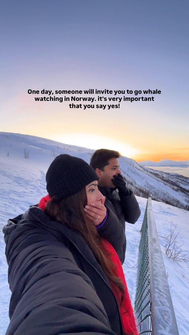 A must-have experience for your Arctic bucket list 🐋 🐳 

🔗 Comment “TROMSO” to get my free Tromso guide straight to your DM.

🌊 I planned my trip to Tromsø specifically to see whales up close, and it was such a unique and unforgettable experience.

🐳 I booked my tour with @brimexplorer , which operates sustainably and ensures a safe distance from the whales to provide an undisturbed and responsible encounter.
💫 We were lucky to see around 10-15 sperm whales, though no orcas this time. Our guide mentioned it’s rare to spot so many sperm whales in one day - it could mean there were 100-200 whales underwater!

✨ Key things to know:
Best Time to Visit: November to January Common Sightings: Orca pods, sperm whales, and
humpback whales
Tour Hours: 8 AM - 5 PM
Price: 1790 kr/ £128

✨ Tips:
- Wear plenty of warm clothes-it’s much colder at sea.
- If you’re prone to seasickness, bring medication.
- Brim Explorer has a heated saloon with a café to keep you warm throughout the tour.

#whalewatching #bucketlistactivities #brimexplorer #visittromso 

Whale watching tromso | Arctic adventures | Silent whale watching | Travel adventures norway | things to do in tromso | things to do in norway| Winter in Tromso