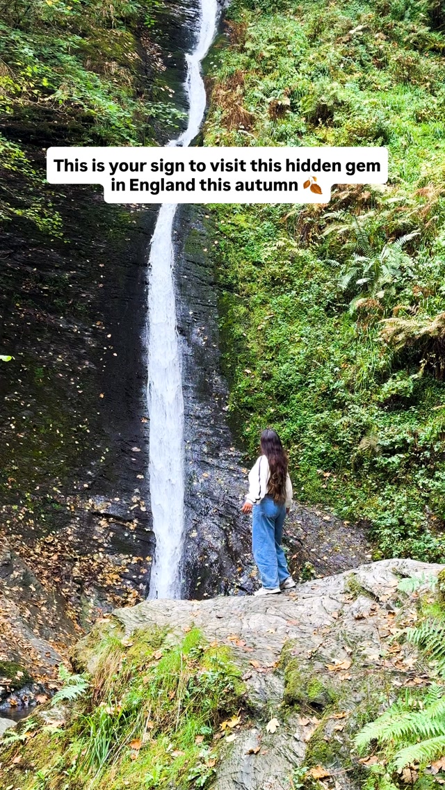 Do you know there’s a gorge in Devon that feels like something straight out of a rainforest? 🌿

Lydford Gorge is one of those places I’d definitely add to a Devon itinerary, especially in autumn when the woodland starts turning golden.

There are two main trails to explore:

💧 Whitelady Waterfall - a beautiful 30m-high waterfall tucked inside the gorge.

🌊 Devil’s Cauldron - a dramatic pothole carved by the River Lyd, with a viewing platform above the rushing water.

You can do both trails together - allow around 2.5 to 3 hours for the full end-to-end walk. Or, if you’re short on time, you can visit the two sections separately.

📍 Lydford Gorge, Devon
📮 Postcodes: EX20 4BH for Devil’s Cauldron / EX20 4BL for Whitelady Waterfall
💷 Adults: £14.30 with Gift Aid / £13 without
🎟️ Free for National Trust members
🚗 Free parking

The paths can be steep, rocky and slippery, so wear shoes with good grip.

Save this for your Devon itinerary and send it to someone you’d explore this with!

things to do in Devon, Devon travel guide, Devon itinerary, places to visit in Devon, things to do in Devon in autumn, Lydford Gorge, Devil’s Cauldron Devon, Whitelady Waterfall, waterfalls in Devon, Dartmoor things to do, Dartmoor National Park, UK travel, England travel
