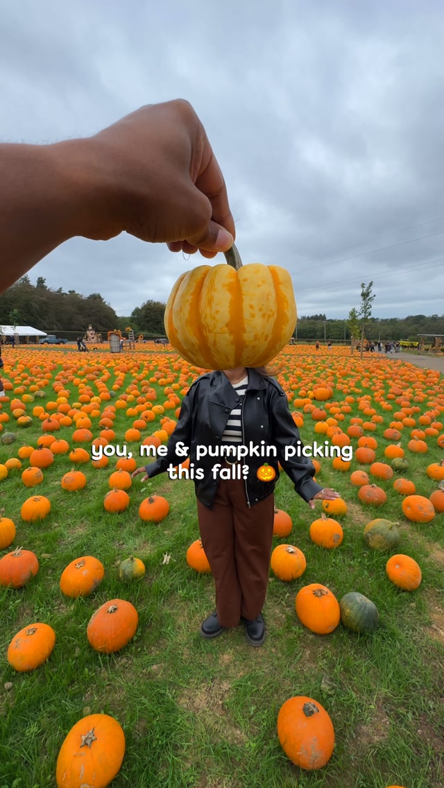 You, me & pumpkin picking this fall? 🎃 

#fallactivities #pumpkinpicking #pumpkinfarm