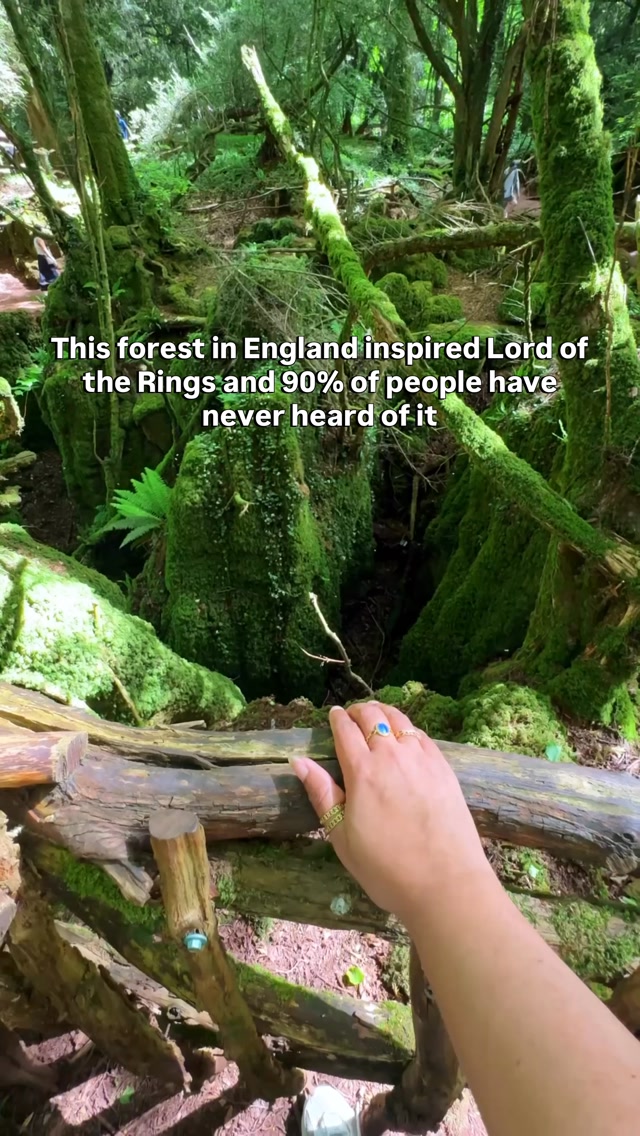 Is this the most beautiful forest in the UK? 🌿

📍 Puzzlewood, Forest of Dean, GL16 8QB
💷 Entry: £10 adults

Hidden just over 2 hours from London, this rare temperate rainforest feels like stepping into another world - with moss-covered ravines, twisted ancient roots, and pathways that don’t feel real.

It is rumoured to have inspired J.R.R. Tolkien's mystical forests in The Lord of the Rings

🎥 You might recognise it from Star Wars, Doctor Who, and The Secret Garden.

Getting there:
🚗 Around 2-2.5 hours from London
🚆 Train to Lydney or Gloucester + short drive/taxi

This is one of those places that feels completely different from anywhere else in the UK ✨

Save this for your next day trip 🌿

#puzzlewood #forestofdean #uktravel #uktravels #outdoorlovers 

Things to do in England, Places to visit in England, Forest of dean, Puzzlewood Forest
