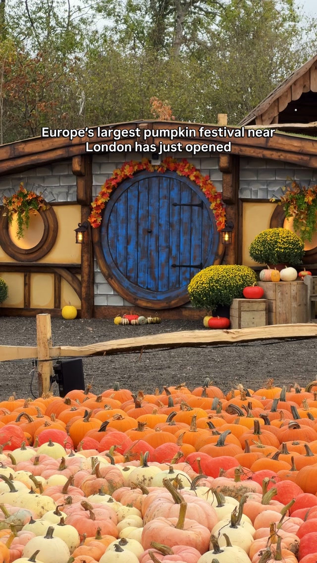 Europe’s largest pumpkin festival has just opened! 🎃

✨ New for 2026: Pumpkin Valley - explore winding paths, wooden bridges and peaceful ponds, surrounded by giant pumpkin sculptures. You’ll also find a charming Pumpkin Farm House and a Hobbit House along the way.

🎃 Pick your own pumpkins from over a million pumpkins and gourds
🎡 Ride the giant observation wheel
🎶 Enjoy live music, roaming performers and street theatre
🍩 Grab some seasonal treats and explore the street food stalls

📍 Tulleys Farm, West Sussex, RH10 4PD
📅 19 September - 1 November 2026
🎟️ Tickets from £9.95 (prices vary by date and session)
🚆 From London: Train to Crawley or Three Bridges, then a taxi.

Save this for your autumn bucket list and send it to someone you’d love to visit with!

#autumninlondon #pumpkinpatch #pumpkinseason #autumnvibes #autumnseason 

Tulleys Pumpkin Festival 2026, Europe’s largest pumpkin festival, things to do in autumn near London, pumpkin picking near London, Pumpkin Valley Tulleys, Tulleys Farm, autumn activities UK, Halloween events near London, pumpkin festival West Sussex, autumn day trips from London, things to do in West Sussex, UK travel guide