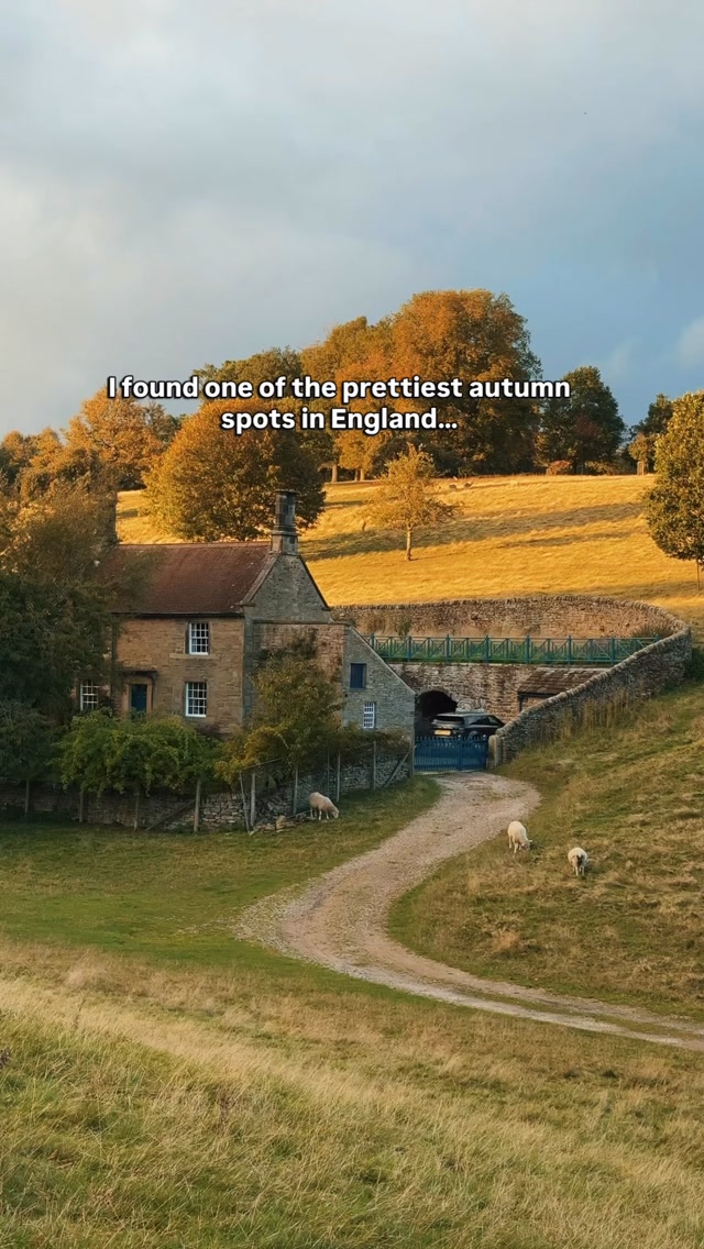 This is your sign to visit one of England’s most beautiful estates this autumn 🍂

Chatsworth House in Derbyshire is surrounded by stunning gardens, parkland and countryside views. It’s a lovely place for an autumn day out, even if you’re just exploring the grounds.

📍 Chatsworth House, Derbyshire - DE45 1PP

🚆 Getting there from London: Take a train from London St Pancras to Sheffield, then the 218 bus towards Bakewell, which stops at Chatsworth House.

🎟️ Tickets: Prices depend on your visit date and whether you choose the house, garden or both. Check Chatsworth’s official website for current prices and availability.

SAVE this for your autumn day trips in England 🍂

#ChatsworthHouse #Derbyshire #PeakDistrict #EnglandTravel #AutumnInEngland

Chatsworth House autumn, Chatsworth House tickets, Chatsworth House public transport, autumn day trips England, beautiful estates in England, places to visit in Derbyshire, Peak District day trip from London