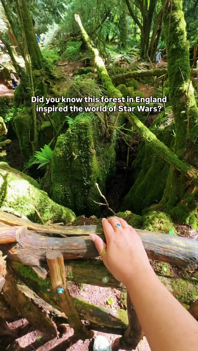 Is this the most beautiful forest in the UK? 🌿

📍 Puzzlewood, Forest of Dean, GL16 8QB
💷 Entry: £10 adults

Hidden just over 2 hours from London, this rare temperate rainforest feels like stepping into another world - with moss-covered ravines, twisted ancient roots, and pathways that don’t feel real.

🎥 You might recognise it from Star Wars, Doctor Who, and The Secret Garden.

Getting there:
🚗 Around 2-2.5 hours from London
🚆 Train to Lydney or Gloucester + short drive/taxi

This is one of those places that feels completely different from anywhere else in the UK ✨

Save this for your next day trip 🌿

#puzzlewood #forestofdean #uktravel #uktravels #outdoorlovers 

Things to do in England, Places to visit in England, Forest of dean, Puzzlewood Forest