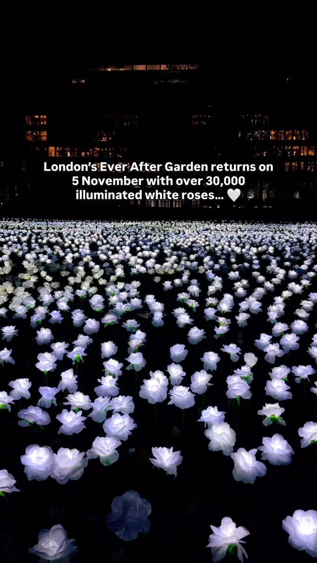 30,000 illuminated white roses are returning to London on 5 November… 🤍🌹

The Ever After Garden is reopening at Duke of York Square in Chelsea, transforming the space into a beautiful garden of glowing white roses.

But there’s a special meaning behind it. Each rose can be dedicated to someone you love and miss, with donations supporting The Royal Marsden Cancer Charity and its life-saving cancer research. 🤍

✨ Things to know before you visit:

📍 Location: Duke of York Square, Chelsea, London - SW3 4LY
📅 Dates: 5 November - 21 December 2026
⏰ Opening hours: Daily, 3pm - 9pm
🎟️ Entry: Free
🚇 Nearest station: Sloane Square

It’s a lovely place to visit, take a moment to remember someone special and support an important cause.

Save this for your London plans this November 🤍

#EverAfterGarden #LondonEvents #ThingsToDoInLondon #LondonHiddenGems #LondonTravel

Ever After Garden London 2026, 30,000 illuminated white roses, London events November 2026, free things to do in London, Duke of York Square Chelsea, Royal Marsden Cancer Charity