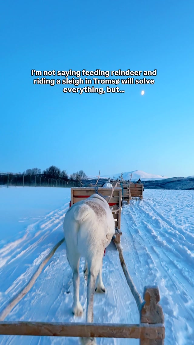POV: You visit a Sami reindeer farm in Northern Norway 🇳🇴

I travelled all the way to Tromsø for reindeer sledding, and it did not disappoint. Feeding the reindeer and gliding through the snowy Arctic landscape felt like something out of a dream.

The experience also included a traditional Sámi meal at the camp and listening to joik, a traditional form of Sámi singing. It was such a special way to learn more about Sámi culture and reindeer herding.

✨ Key things to know :

🦌 Best time to visit: Winter, with daytime experiences available during the snowy season
🛷 What’s included: Reindeer sledding, feeding the reindeer, Sámi cultural experience, traditional hot lunch, hot drinks and return transport from Tromsø
⏰ Duration: Around 4 hours, including transport
💰 Price: From NOK 1,890 per adult for the short sled ride or NOK 2,090 for the longer ride

📍 Tromsø, Northern Norway 🇳🇴

Comment SAMI and I’ll send you the booking link! 🔗

#ReindeerSledding #VisitTromso #ArcticAdventures #VisitNorway #SamiCulture

Reindeer sledding Tromsø, Sámi reindeer experience, things to do in Tromsø, reindeer feeding Norway, Arctic activities, Northern Norway winter, Tromsø itinerary