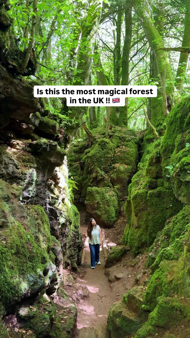 Is this the most beautiful forest in the UK? 🌿

📍 Puzzlewood, Forest of Dean, GL16 8QB
💷 Entry: £10 adults

Hidden just over 2 hours from London, this rare temperate rainforest feels like stepping into another world - with moss-covered ravines, twisted ancient roots, and pathways that don’t feel real.

🎥 You might recognise it from Star Wars, Doctor Who, and The Secret Garden.

Getting there:
🚗 Around 2-2.5 hours from London
🚆 Train to Lydney or Gloucester + short drive/taxi

This is one of those places that feels completely different from anywhere else in the UK ✨

Save this for your next day trip 🌿

#puzzlewood #forestofdean #uktravel #uktravels #outdoorlovers 

Things to do in England, Places to visit in England, Forest of dean, Puzzlewood Forest
