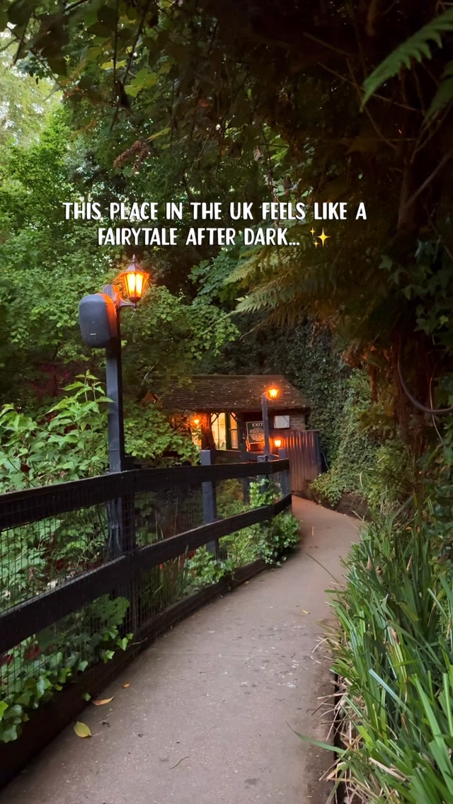 This place in the UK feels like a fairytale after dark… ✨

A night walk that feels completely different once the sun goes down.

Hidden on the Isle of Wight, this illuminated gorge walk takes you through glowing woodland paths, waterfalls, and peaceful nature sounds - it honestly feels like another world.

📌 Shanklin Chine

🌿 What to expect:
• Lit-up woodland trail
• Waterfalls and streams at night
• Short, scenic evening walk
• Very different from the daytime experience

💷 Price: Around £13 per person (a bit expensive but valid for a week)

🚆 How to get there from London:
Train from London Waterloo → Portsmouth Harbour, ferry to Ryde, then train to Shanklin. About a 10–15 min walk from there.

📍Save this for a unique UK night walk 🌙

#isleofwight #shanklinchine #uktravel #weekendtripfromlondon #englandtravel