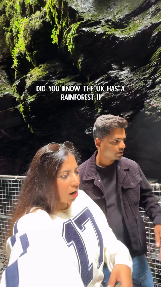 You need to see this English rainforest at least once… 🌿🇬🇧

A beautiful temperate rainforest, with ancient woodland, rushing water and an incredible natural viewing platform. 🌿

📍 Lydford Gorge, Devon - EX20 4BH (Devil’s Cauldron entrance)

🎟️ Admission:

* Adults: £13
* Children (5-17): £6.50
* Free for National Trust members
* Under 5s: Free

🥾 The Devil’s Cauldron trail is around 1.3 km and takes about 40 minutes. Expect steep steps and uneven, sometimes slippery paths.

📌 Save this for your England bucket list and follow me for more beautiful places and day trips across the UK!

#LydfordGorge #DevilsCauldron #EnglandTravel #UKTravel #Devon

Lydford Gorge Devon, Devil’s Cauldron, English rainforest, things to do in Devon, places to visit in England, UK nature walks, National Trust